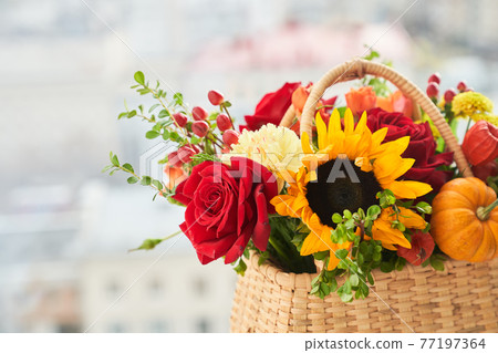 Mixed autumn flowers in basket, bouquet is on the windowsill with copy space. Mixed autumn flowers in basket, bouquet is on the windowsill with copy space. 77197364