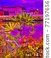 wood  77197656