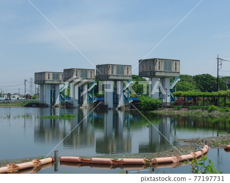 Sueda Suga Weir 2021 77197731