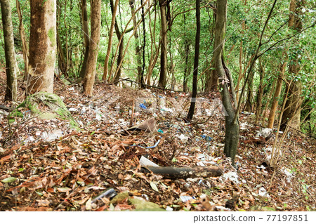 Garbage abandoned in the bamboo forest Garbage abandoned in the bamboo forest 77197851