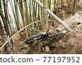 trash and abandoned bikes 77197952