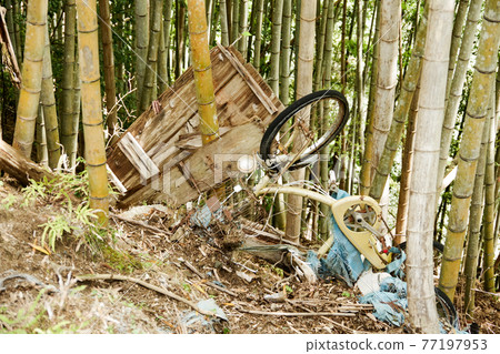 trash and abandoned bikes trash and abandoned bikes 77197953