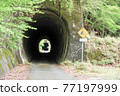 tunnel that brings to an abandoned town 77197999