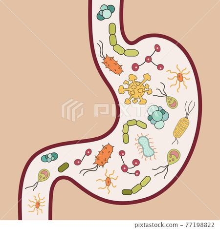 Human stomach with viruses and bacteria Human stomach with viruses and bacteria 77198822