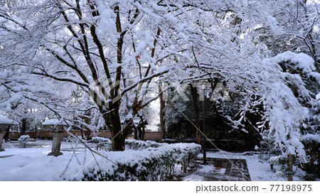 Snow scene of Jigen-do Hall in Sakamoto, Otsu City Snow scene of Jigen-do Hall in Sakamoto, Otsu City 77198975