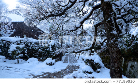 Snow scene of Jigen-do Hall in Sakamoto, Otsu City Snow scene of Jigen-do Hall in Sakamoto, Otsu City 77199030