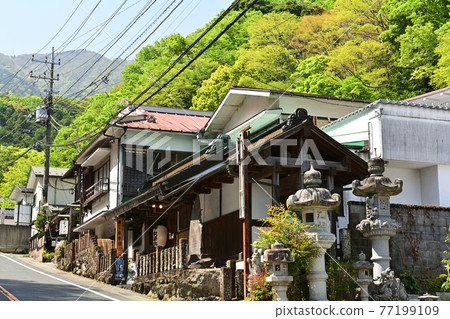 神奈川/小山 77199109
