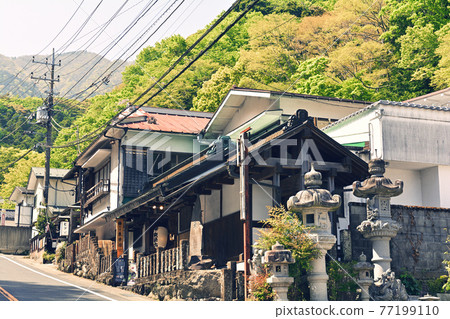 神奈川/小山 神奈川/小山 77199110
