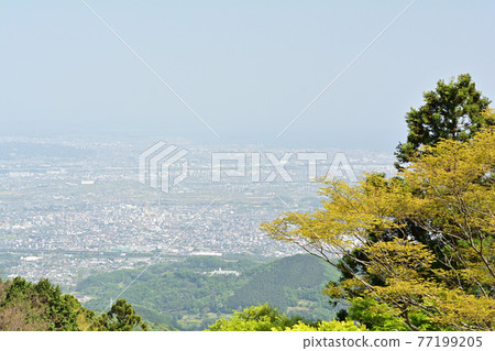 神奈川/小山 77199205