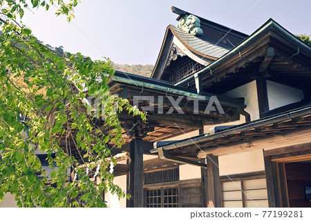 神奈川/小山 神奈川/小山 77199281