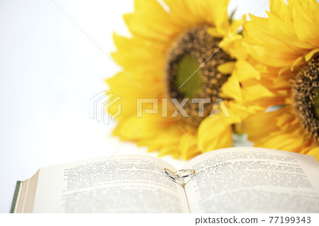 戒指、向日葵和外國書籍 77199343