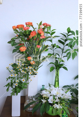 生活與鮮花 77199455