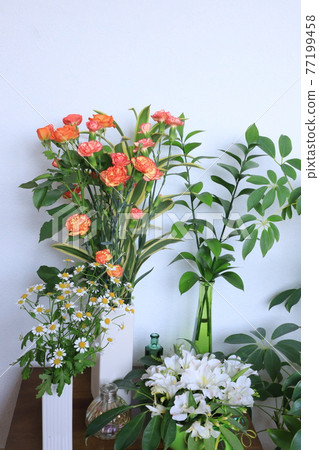 生活與鮮花 77199458