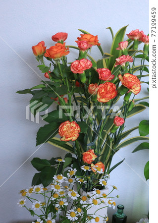 生活與鮮花 77199459