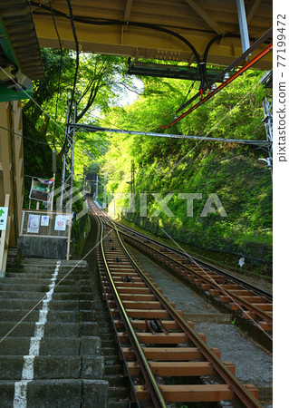 Kanagawa / Oyama 77199472