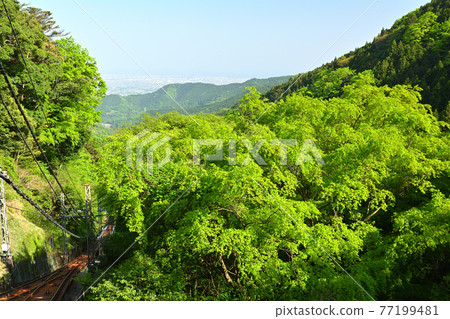 神奈川/小山 77199481