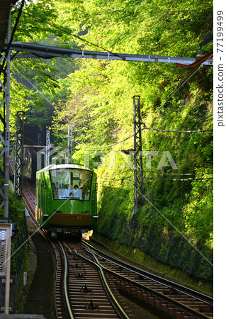 神奈川/小山 77199499