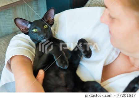 Woman with black cat at home Woman with black cat at home 77201617