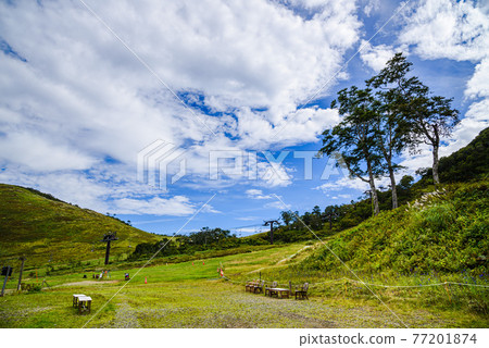 (Gunma Prefecture) Clear sky and bright green Tenjindaira (Gunma Prefecture) Clear sky and bright green Tenjindaira 77201874