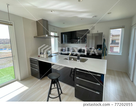 dining kitchen  77202055