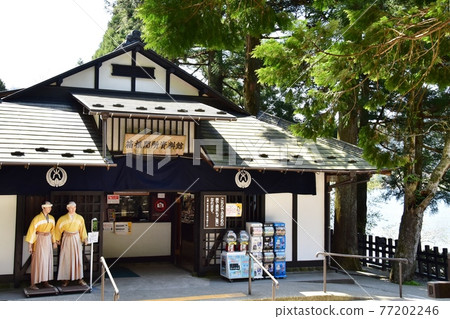 Hakone Sekisho Museum and Fresh Green on the shores of Lake Ashi, Hakone Town Hakone Sekisho Museum and Fresh Green on the shores of Lake Ashi, Hakone Town 77202246