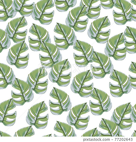 Isolated random seamless pattern with green monstera doodle leaves. White background. Floral backdrop. Isolated random seamless pattern with green monstera doodle leaves. White background. Floral backdrop. 77202643