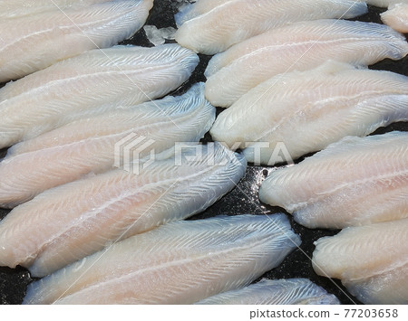 Fillet dory fish ready for sale in seafood market Fillet dory fish ready for sale in seafood market 77203658