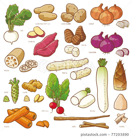 蔬菜套裝3 77203890