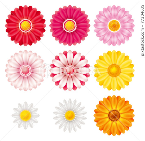 Flower illustration. Icon set. 77204035