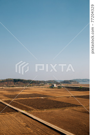 Rural paddy field from Imjingak Pyeonghoa-Nuri park in Paju, Korea 77204329