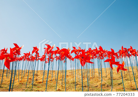 Red pinwheels at Imjingak Pyeonghoa-Nuri park in Paju, Korea Red pinwheels at Imjingak Pyeonghoa-Nuri park in Paju, Korea 77204333