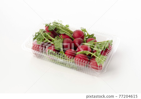 20日本蘿蔔 20日本蘿蔔 77204615