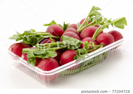 20日本蘿蔔 77204728