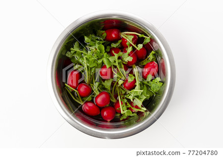 20th Japanese radish 20th Japanese radish 77204780