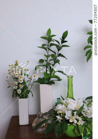 Life with flowers 77204807