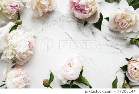 Peony flowers on a marble background 77205144