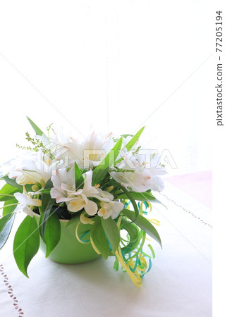 白花安排 77205194