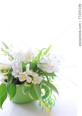 白花安排 77205196