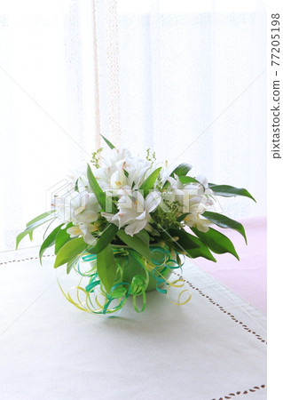 白花安排 77205198