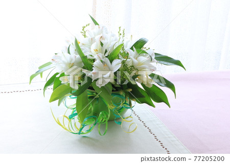 白花安排 77205200