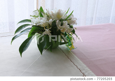 白花安排 77205203