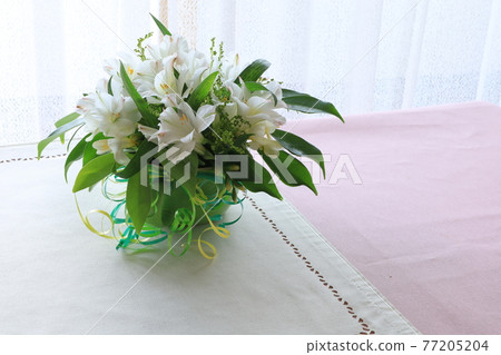 白花安排 77205204