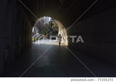 運行在 Hijiribashi 下的 Aiozaka 拱門 77205255