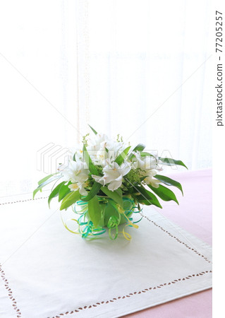 白花安排 77205257