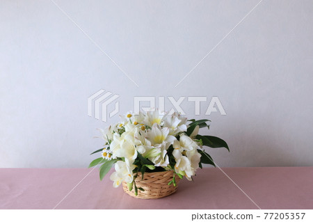 白花安排 77205357