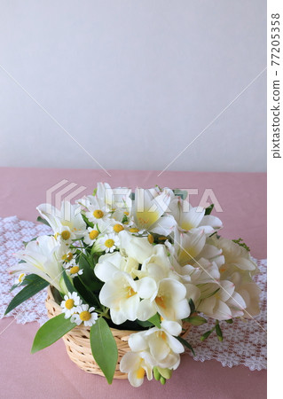 白花安排 77205358