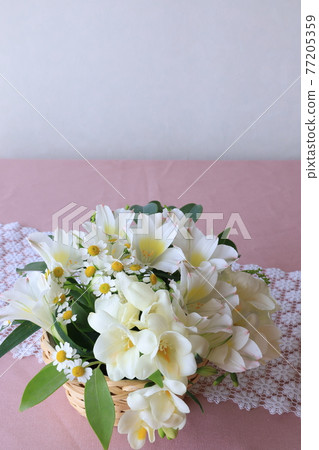 白花安排 77205359