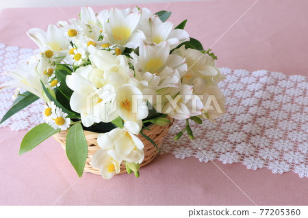 白花安排 77205360