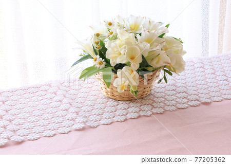 白花安排 77205362