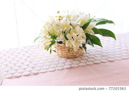 白花安排 77205363